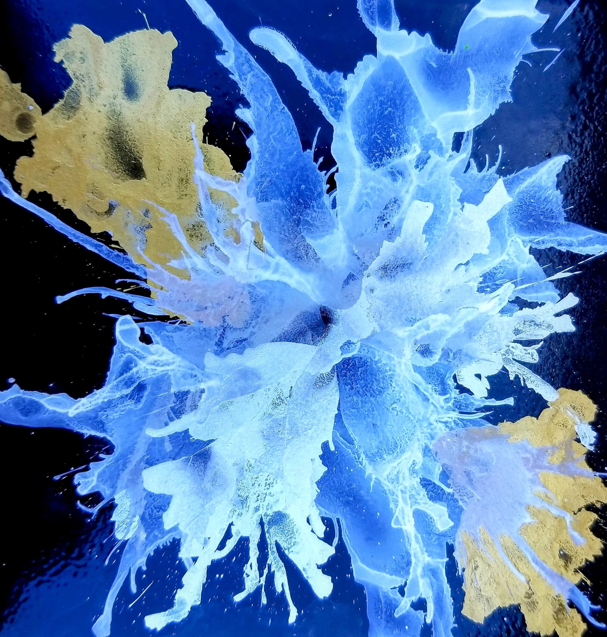 Blue and gold ink explosion on black glass